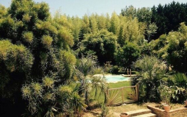 Domaine du Grand Loustau