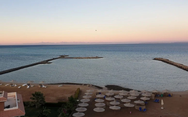 SeaView Turtles