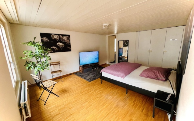 Newly Furnished Beautiful old Building Apartment in the Center With Apple TV O1 – Guest Rooms – St. Gallen