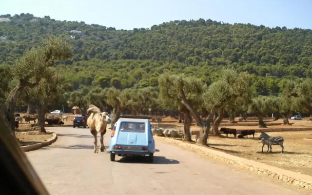 Villa Conte in Salento