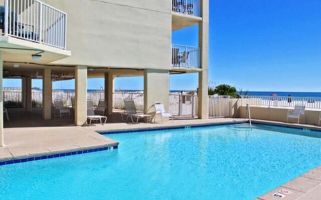 Whaler by Youngs Suncoast