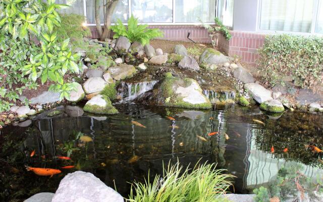 Medallion Inn & Suites