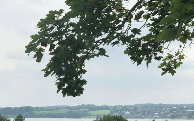 Ferienwohnung Möwe 14