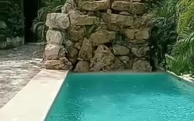 Jungle Mansion & Cuisine