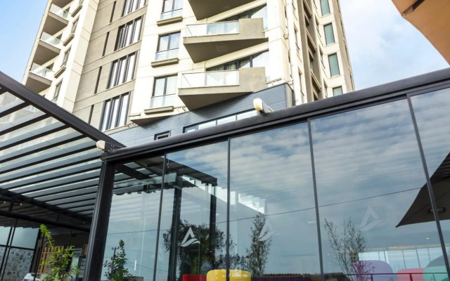 Alesha Suite