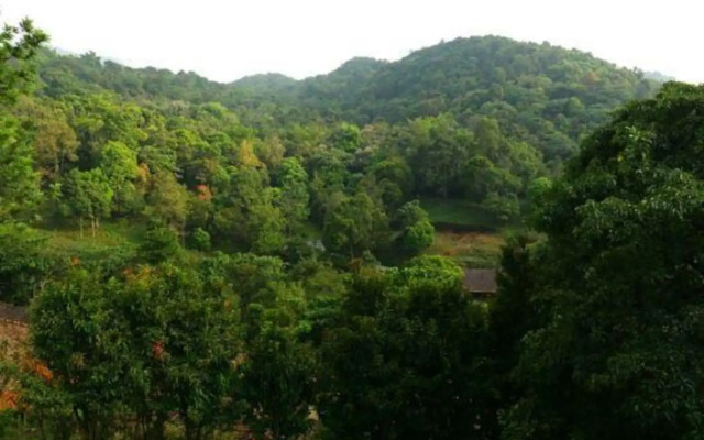 Rain Country Resort