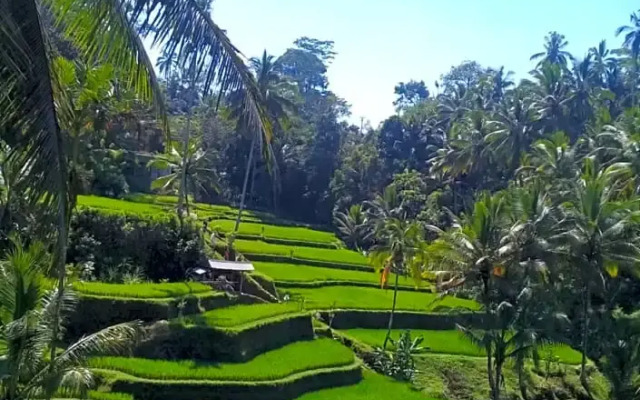 Rumah Irak et Kadek Bali