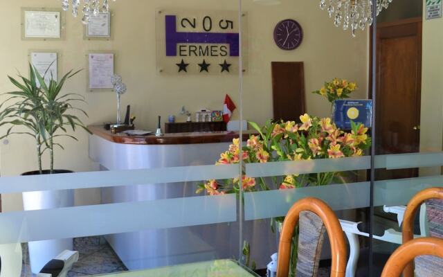 Hotel Hermes 205