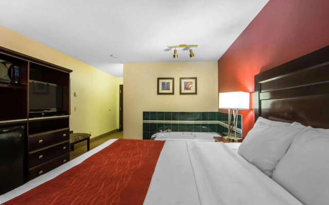 Comfort Inn & Suites Airport South