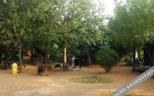 Omah Alchy Cottages