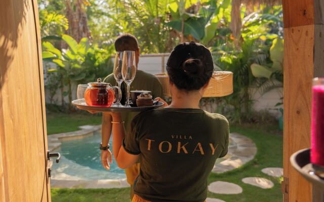 Villa Tokay - The Luxury Resort