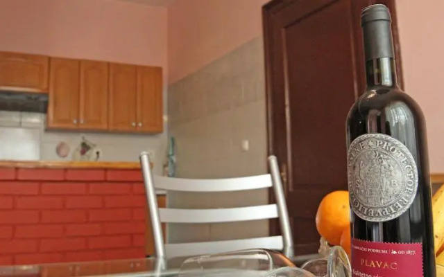 Apartment Radnic 107