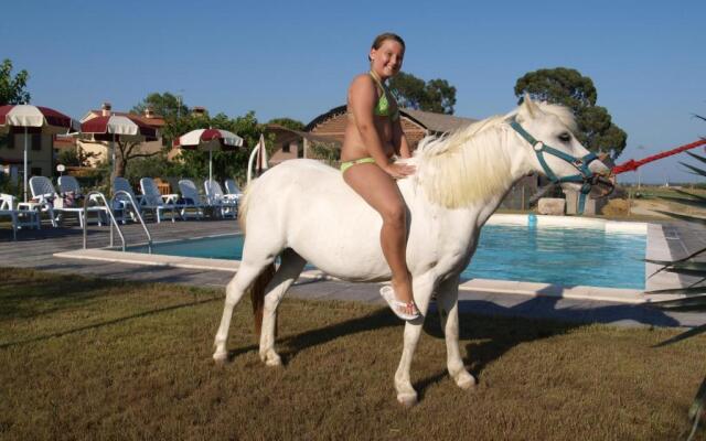 Azienda Agrituristica Il Poggetto Delle Spighe