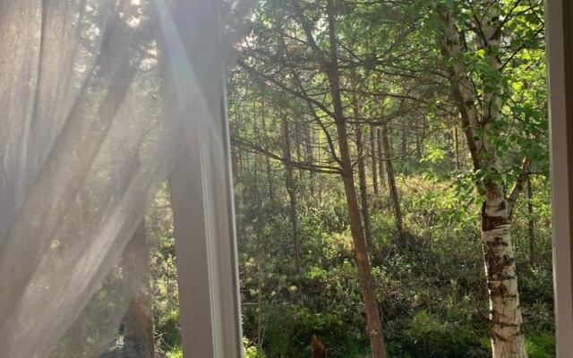 Вереск на локации Тайга