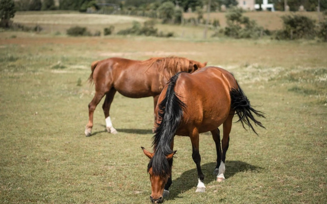 Quinta Do Rio Noémi