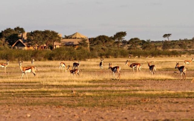 Intu Africa Suricate Tented Kalahari Lodge