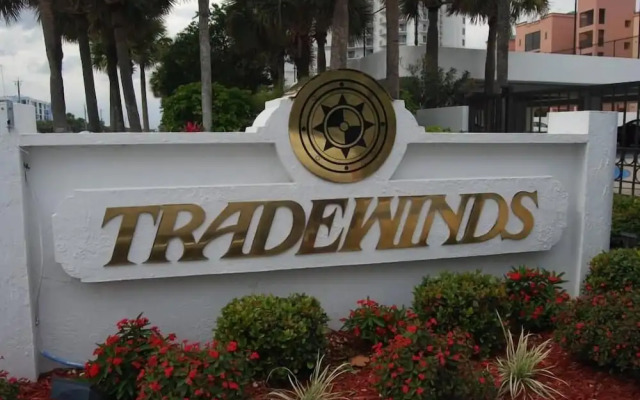 Tradewinds 503