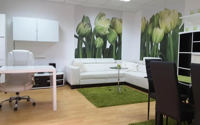 DELUX duplex apartment