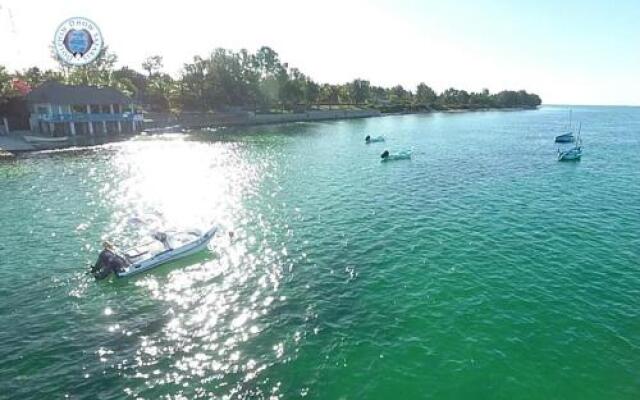 Dolphin Dhow Beach Safaris