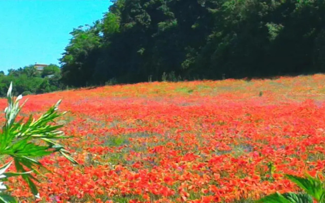 Agriturismo San Filippo