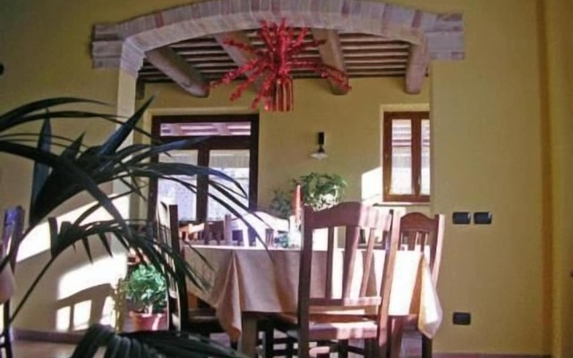 La Cicala