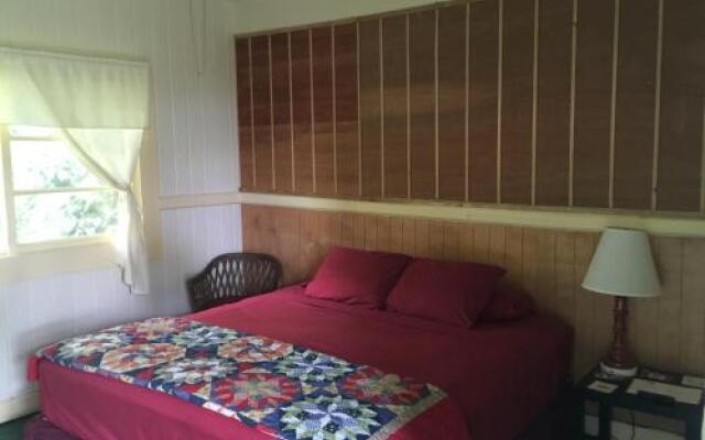 Wild Ginger Inn Bed and Breakfast