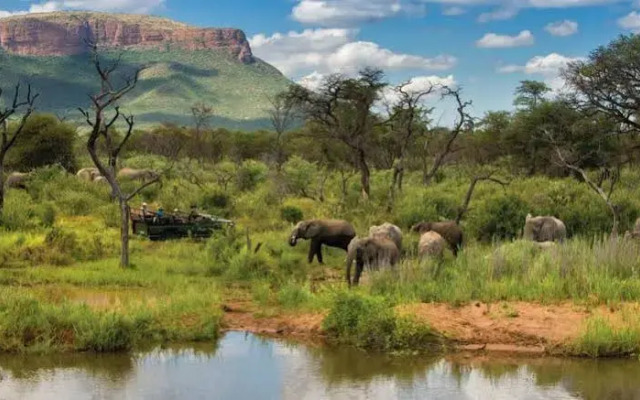 Marataba Safari Lodge