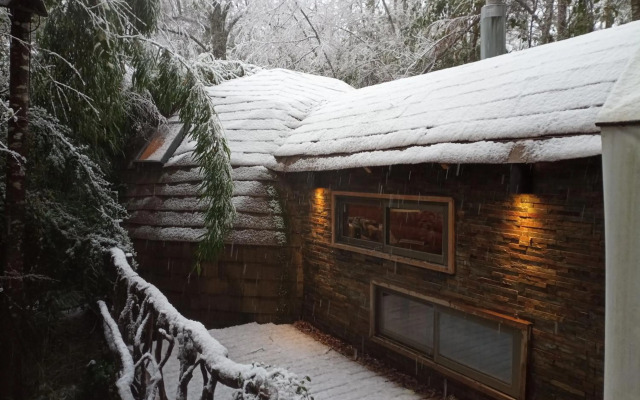 Domo Bosque Nativo Villarrica comuna