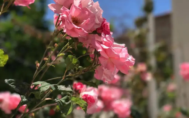 Sunny Bay Apartments