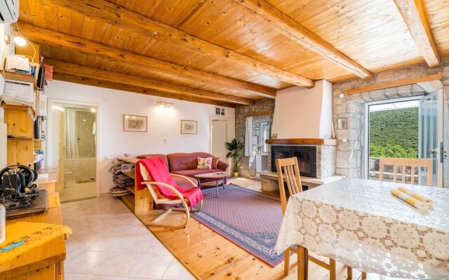 House Kocan