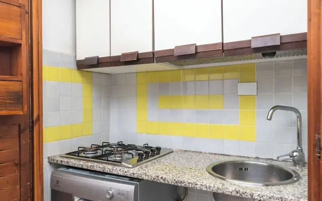 Trilo Super Standard 205 Ginepro