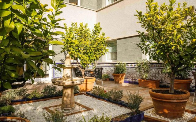 ibis Granada