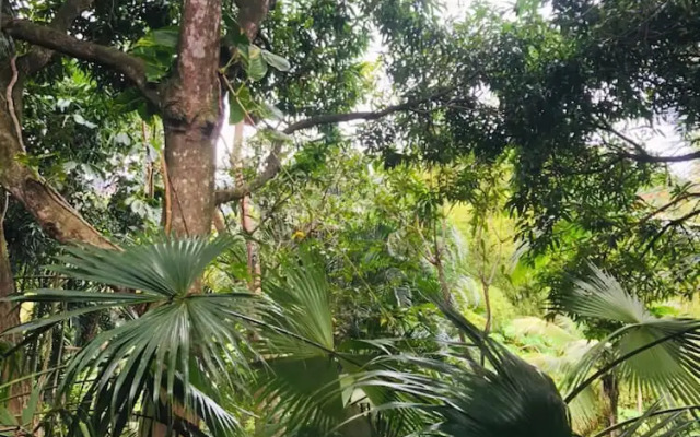 Suítes vista pro mar lhabela