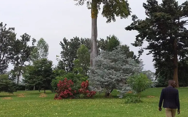 The Estate Ebwerenga