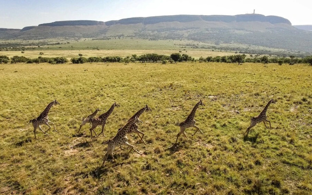 African Hills Safari Lodge & Spa