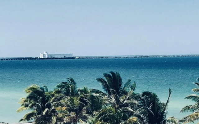 AMA Yucatan