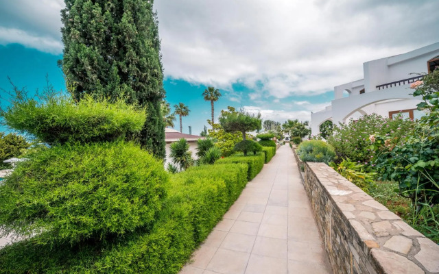 The Olive Tree Hotel
