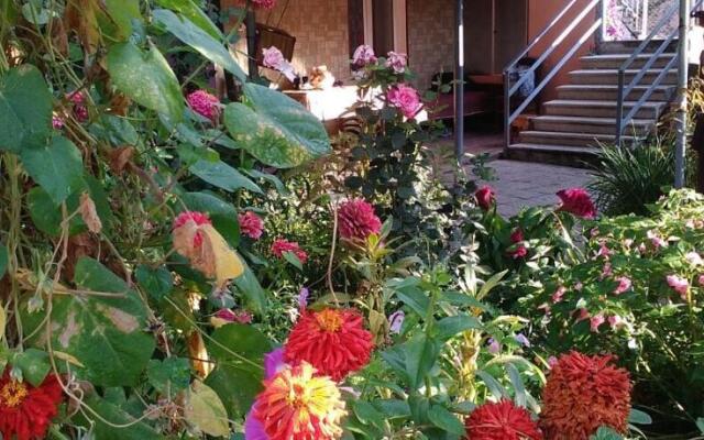 Tsiskari Guest House