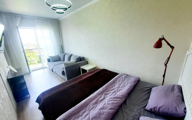 Apartments on Lenin street 219/6B