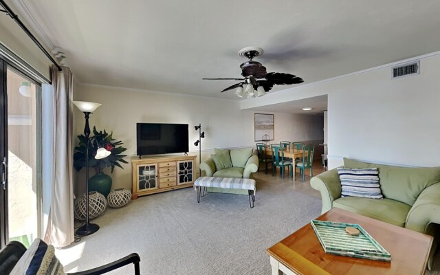 Intercoastal Dreams 201