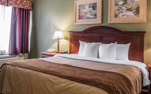 COMFORT INN &amp; SUITES ANN ARBOR