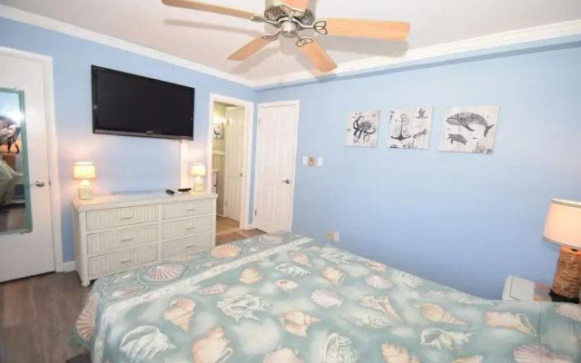 Virginian 4 1 Bedroom Apts