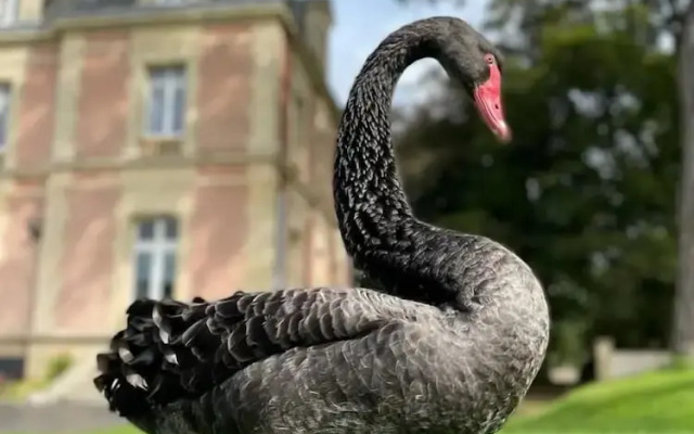 Château Côte de Nacre