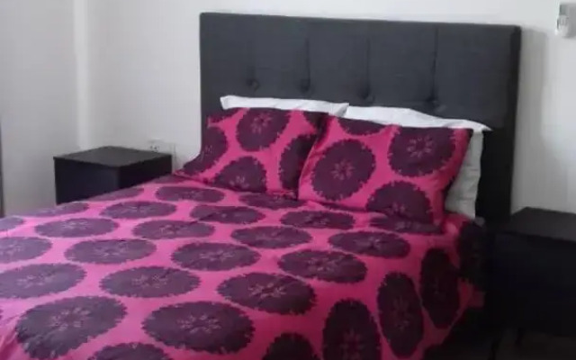 Premier Executive Apartment - The Ivy, East Legon