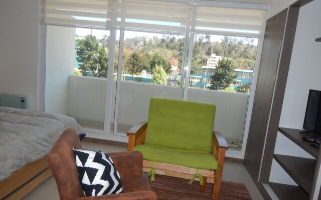 411A Apartamento Studio Plaza Viña