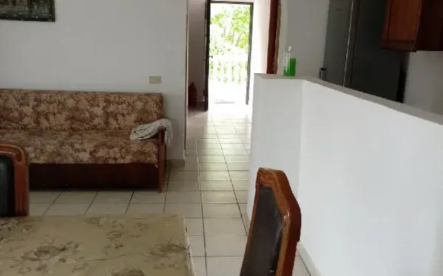 Vila Oltenilor