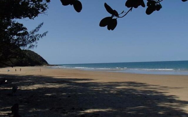 Daintree Crocodylus