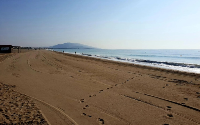 Marina Rey