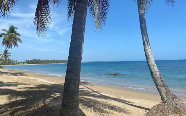 The Palm Bay Club Lodge