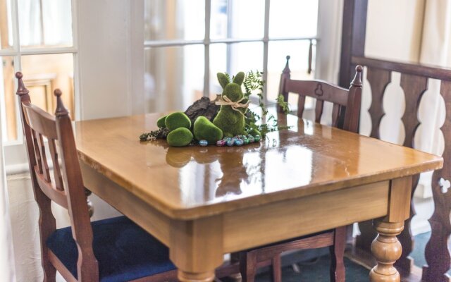 Dawson Falls Mountain Lodge